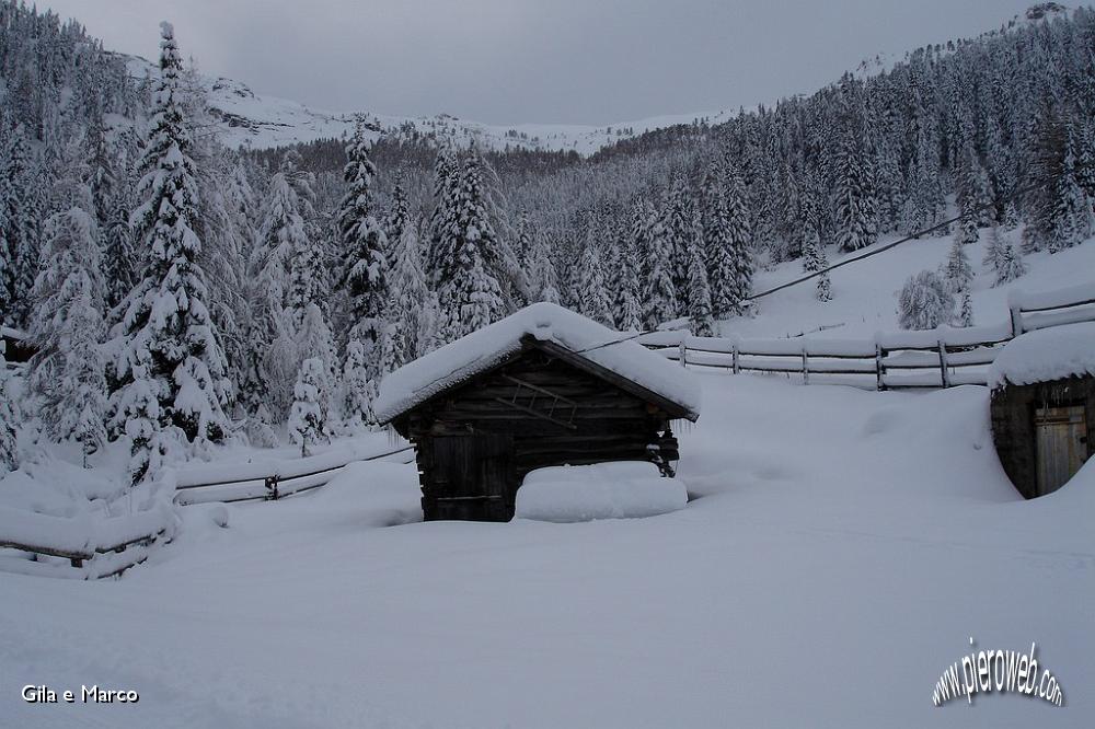 11-Malga Valparola.jpg